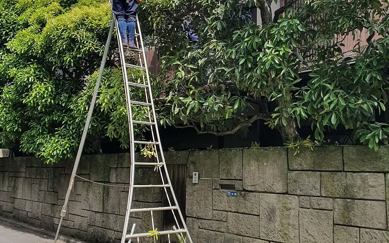 Supervisor de jardinagem