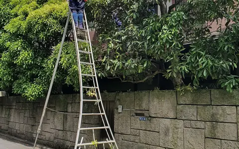 Supervisor de jardinagem